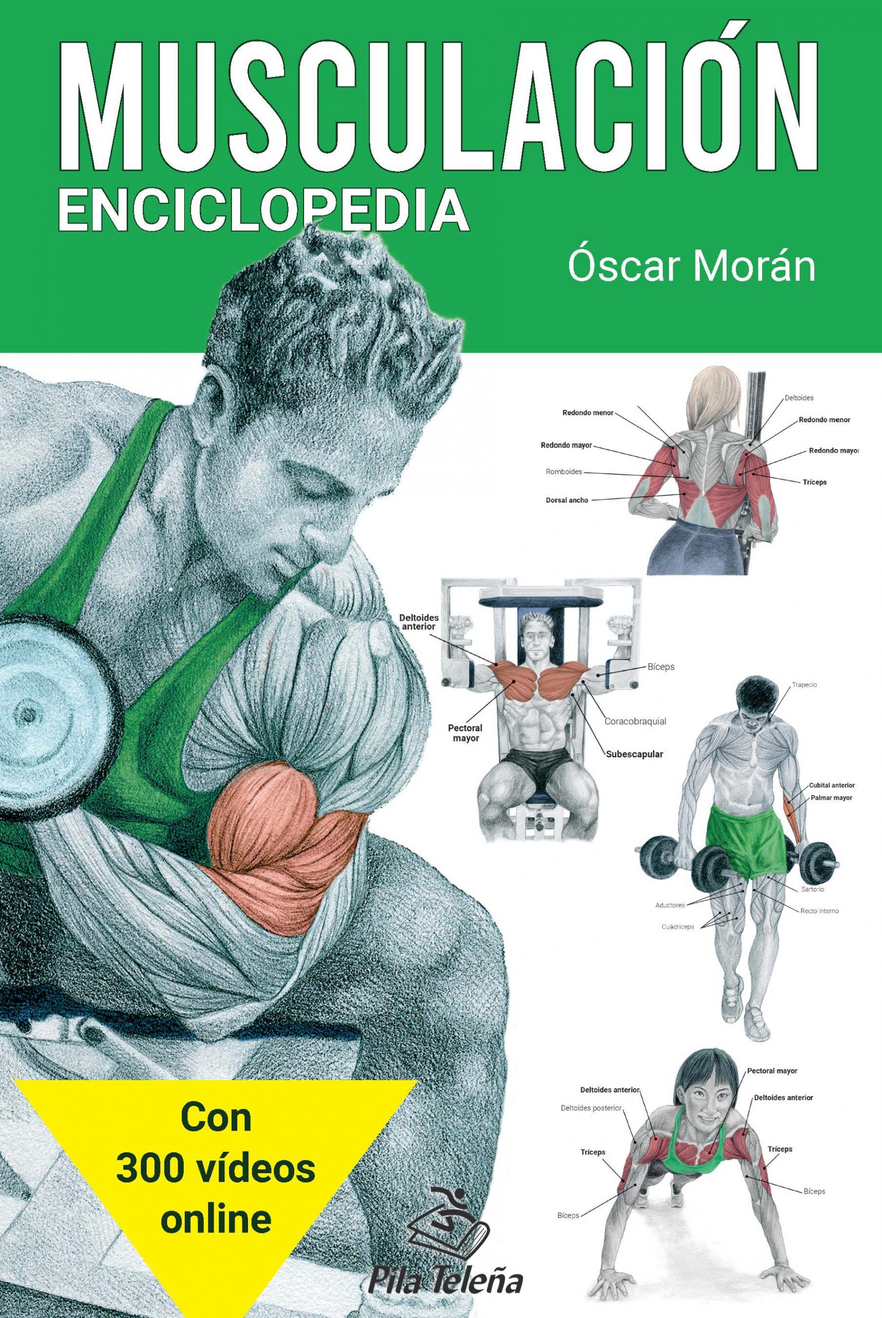 Editorial Líder Libros de Educación Física Deportes