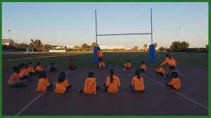 Ratón que te pilla el gato